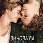 Виноваты звезды (2014)